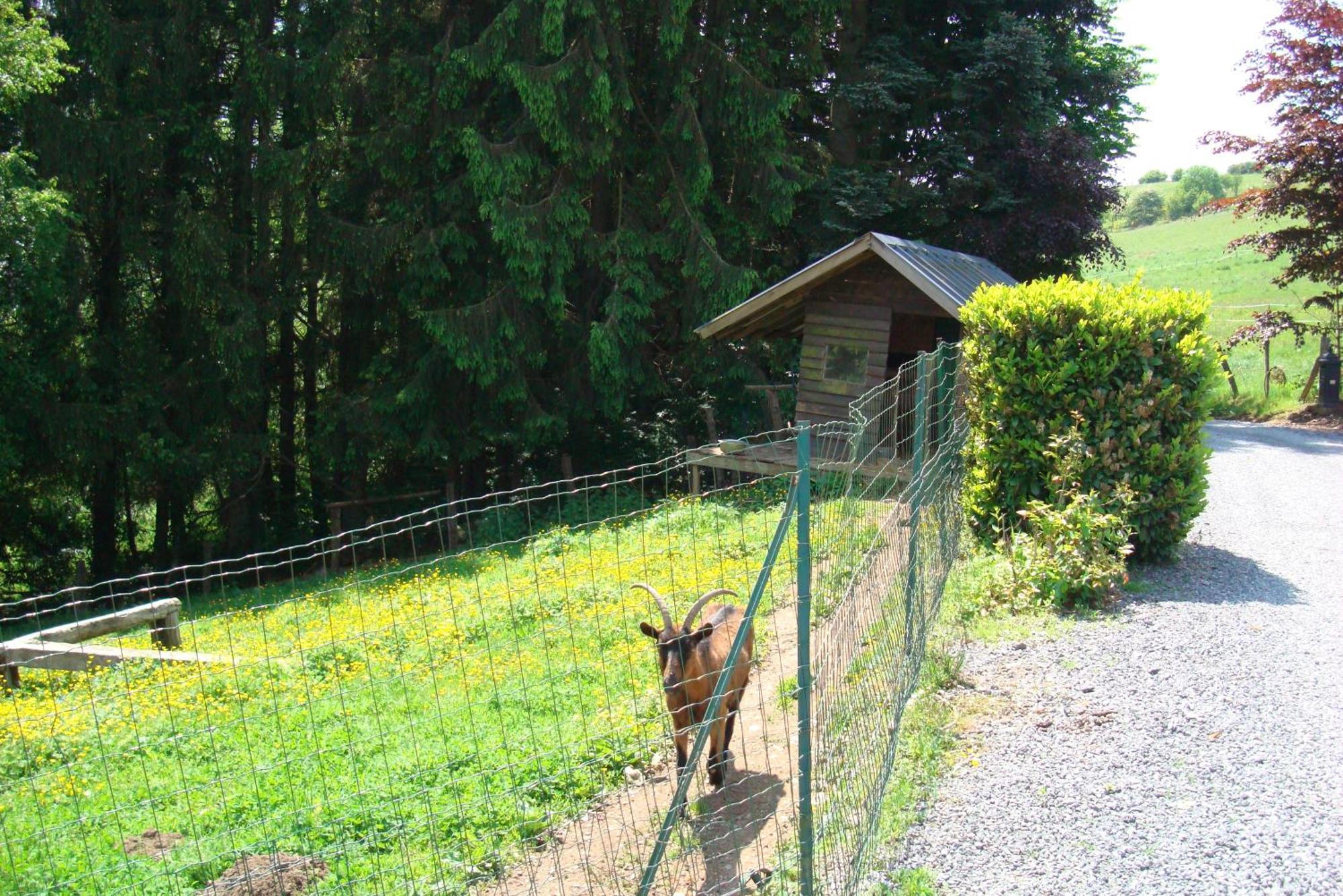 Gite La Gernelle Bouillon Exterior photo
